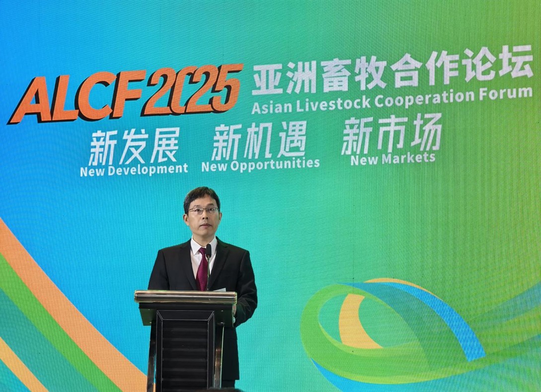 中国驻泰国大使馆公使衔参赞江伟发表致辞。活动主办方供图