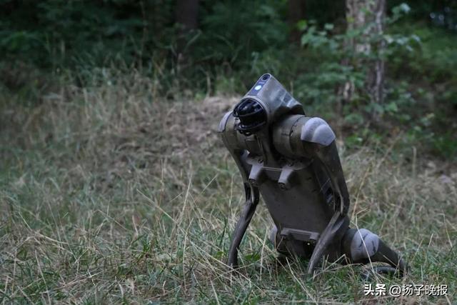一只带有军事功能的机器狗(法新社资料图片)