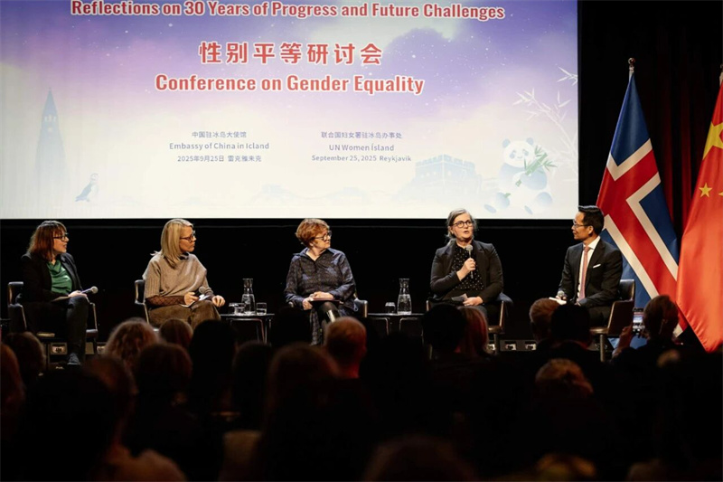 中国驻冰岛使馆举办性别平等研讨会。中国驻冰岛大使馆供图