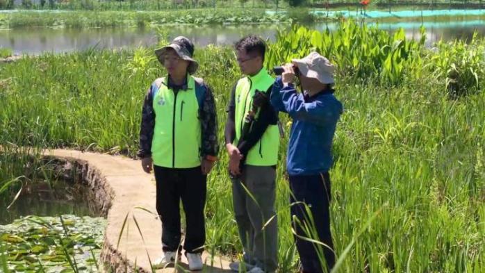 新华视点丨守护鸟类家园 共绘生态蓝图